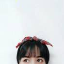 拱猪的白菜🛵 💨